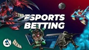 বিপিএল ক্রিকেট গাইডে 229bet ম্যাচদিনের দৃশ্য